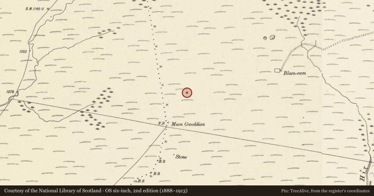 Ordnance Survey six-inch map, 2nd edition (1888–1913) covering the location of Pillow Mounds at Pant Mawr, Ystradfellte, Powys, with a pin at the register's coordinates