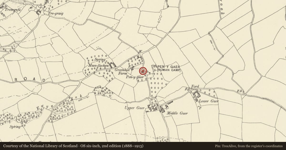 Ordnance Survey six-inch map, 2nd edition (1888–1913) covering the location of Roman Fort at Pen y Gaer, Llanfihangel Cwmdu with Bwlch and Cathedine, Powys, with a pin at the register's coordinates