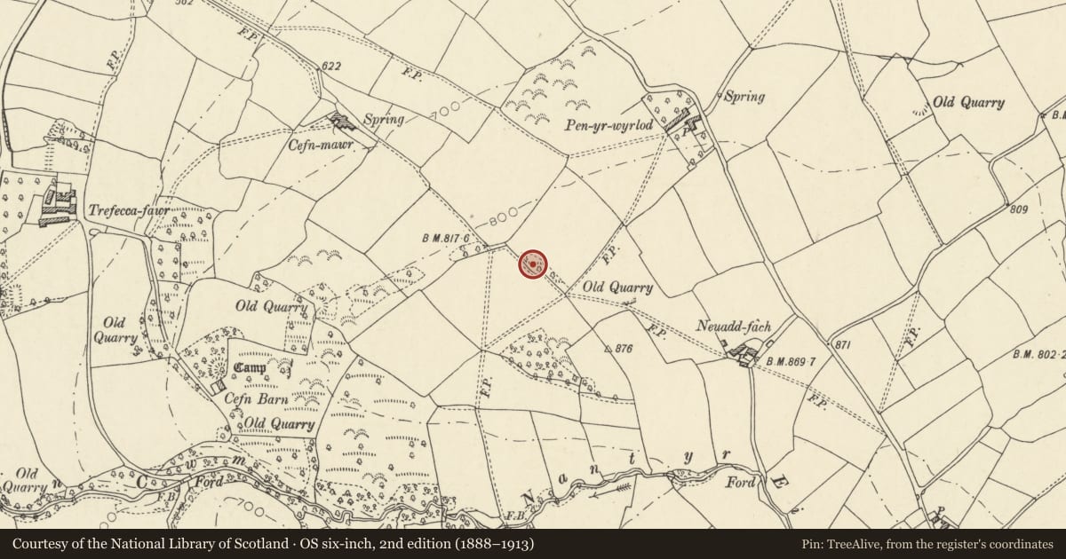 Ordnance Survey six-inch map, 2nd edition (1888–1913) covering the location of Penywyrlod Chambered Tomb, Talgarth, Powys, with a pin at the register's coordinates