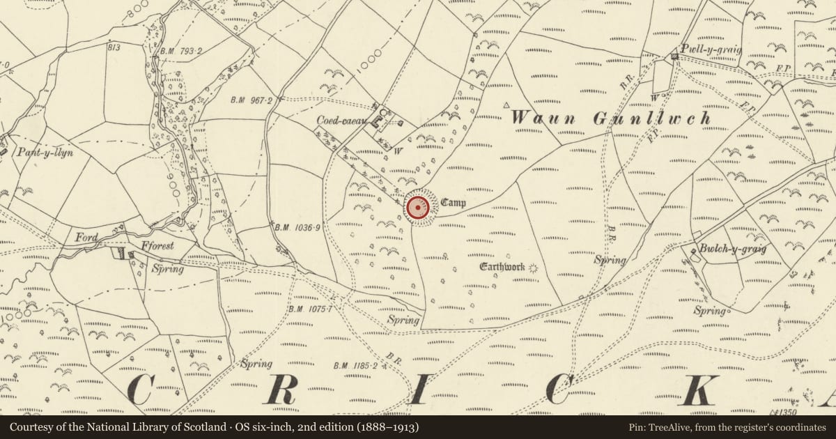 Ordnance Survey six-inch map, 2nd edition (1888–1913) covering the location of Castle Earthwork 200m S of Coed Caeau, Erwood, Powys, with a pin at the register's coordinates