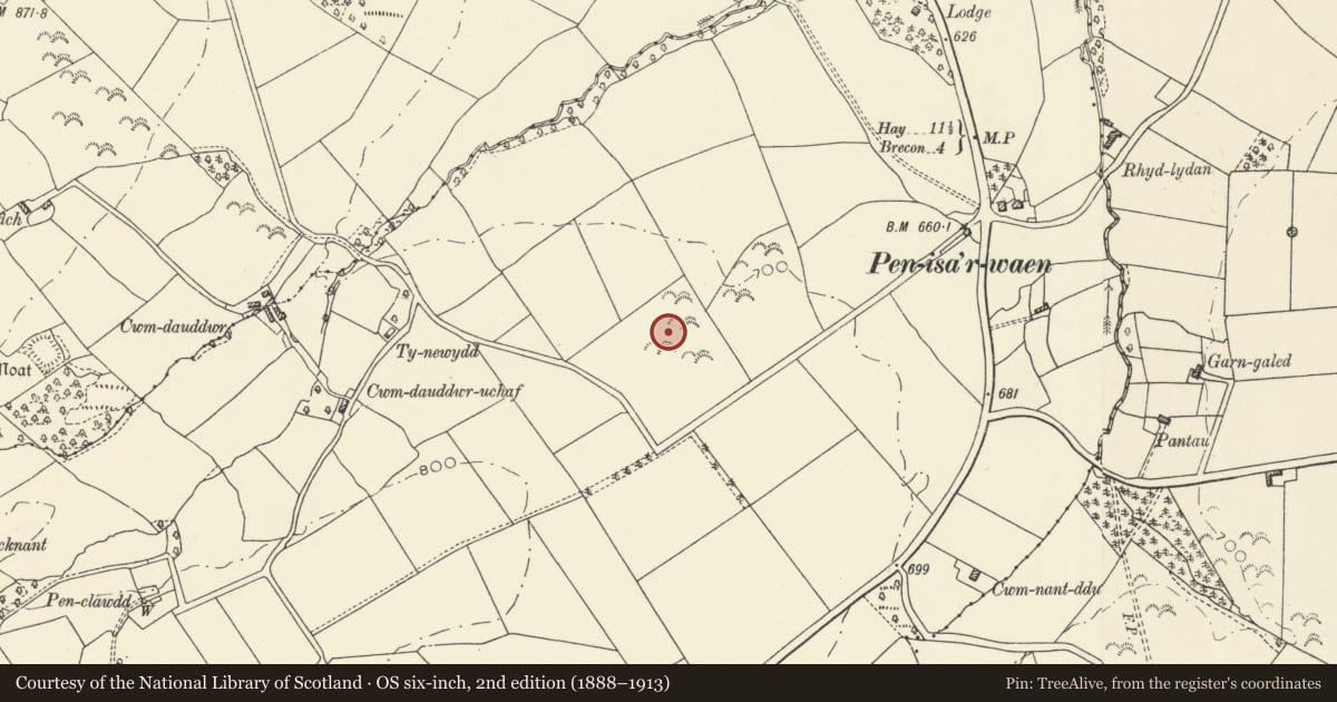 Ordnance Survey six-inch map, 2nd edition (1888–1913) covering the location of Moated Site 670m NE of Lower Penwaun, Felin-Fach, Powys, with a pin at the register's coordinates