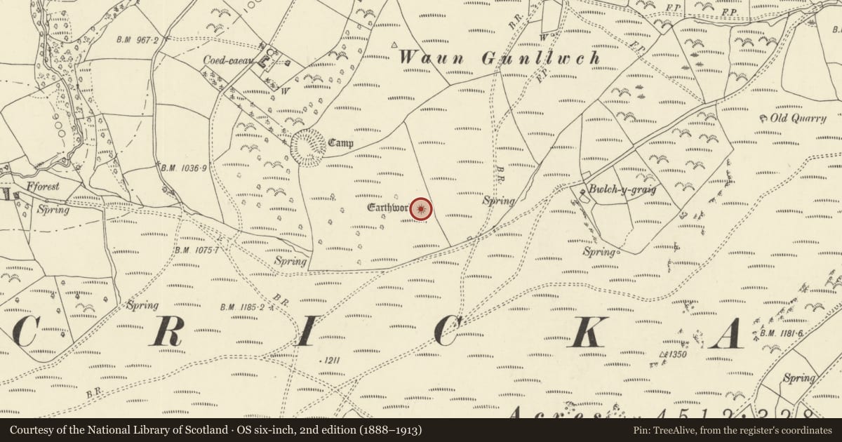 Ordnance Survey six-inch map, 2nd edition (1888–1913) covering the location of Ring Cairn on Waun Gunllwch, Erwood, Powys, with a pin at the register's coordinates
