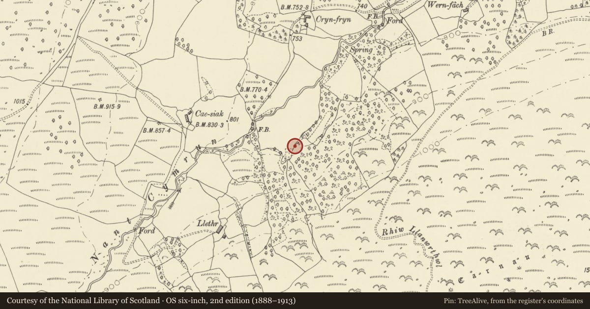 Ordnance Survey six-inch map, 2nd edition (1888–1913) covering the location of Corn Drying Kiln 340m S of Cryn-Fryn, Llanwrthwl, Powys, with a pin at the register's coordinates