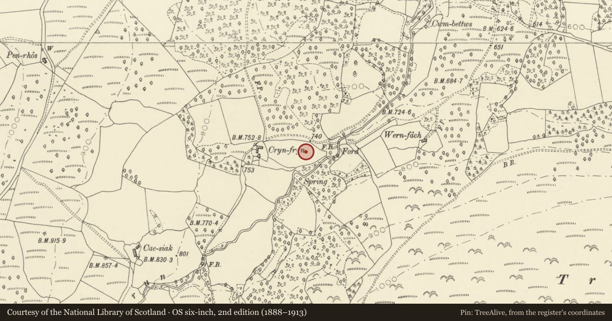 Ordnance Survey six-inch map, 2nd edition (1888–1913) covering the location of Round Cairn 130m E of Cryn-Fryn, Llanwrthwl, Powys, with a pin at the register's coordinates