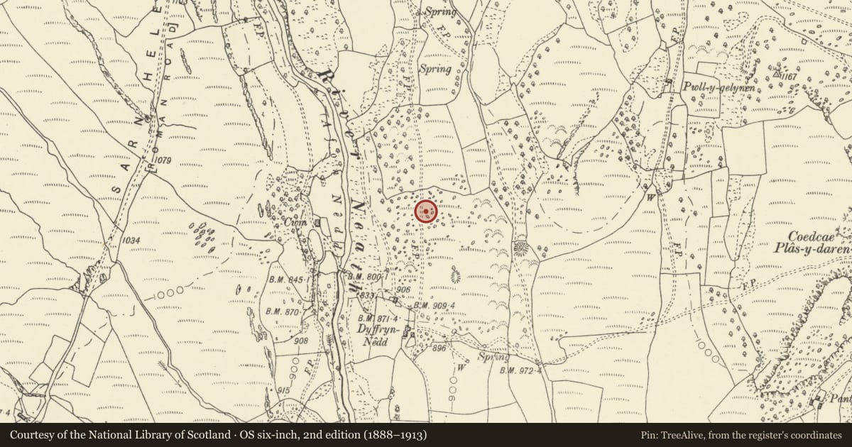 Ordnance Survey six-inch map, 2nd edition (1888–1913) covering the location of Dyffryn Nedd, Ystradfellte, Powys, with a pin at the register's coordinates