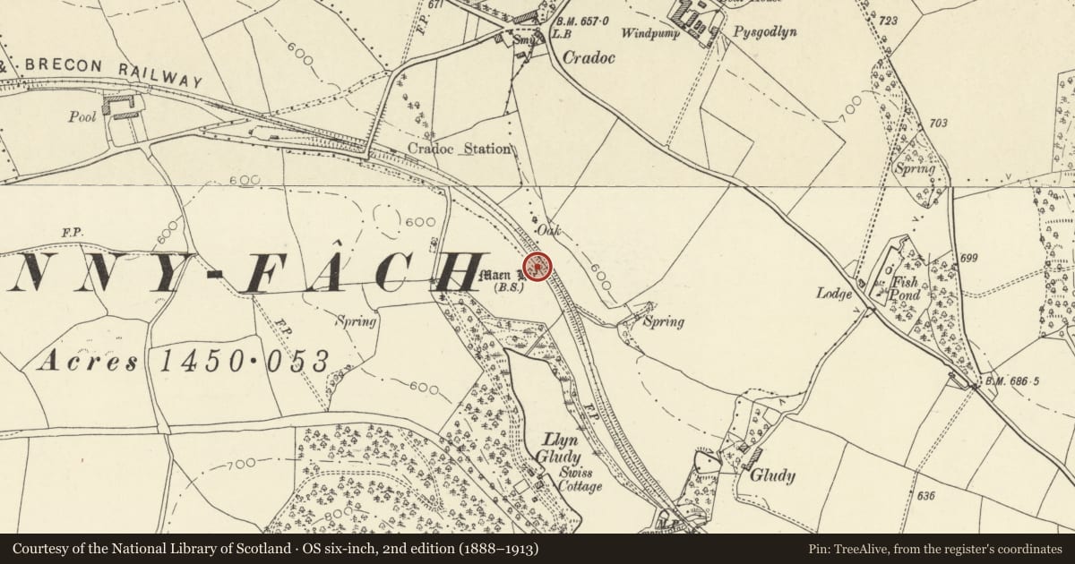 Ordnance Survey six-inch map, 2nd edition (1888–1913) covering the location of Fennifach Standing Stone, Yscir, Powys, with a pin at the register's coordinates