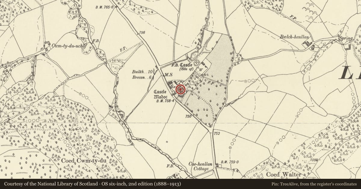 Ordnance Survey six-inch map, 2nd edition (1888–1913) covering the location of Castle Madoc Mound, Honddu Isaf, Powys, with a pin at the register's coordinates
