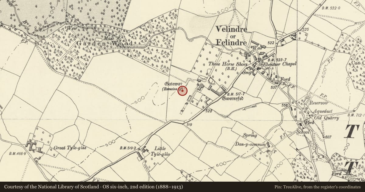 Ordnance Survey six-inch map, 2nd edition (1888–1913) covering the location of Garden Earthworks at Old Gwernyfed, Powys, with a pin at the register's coordinates