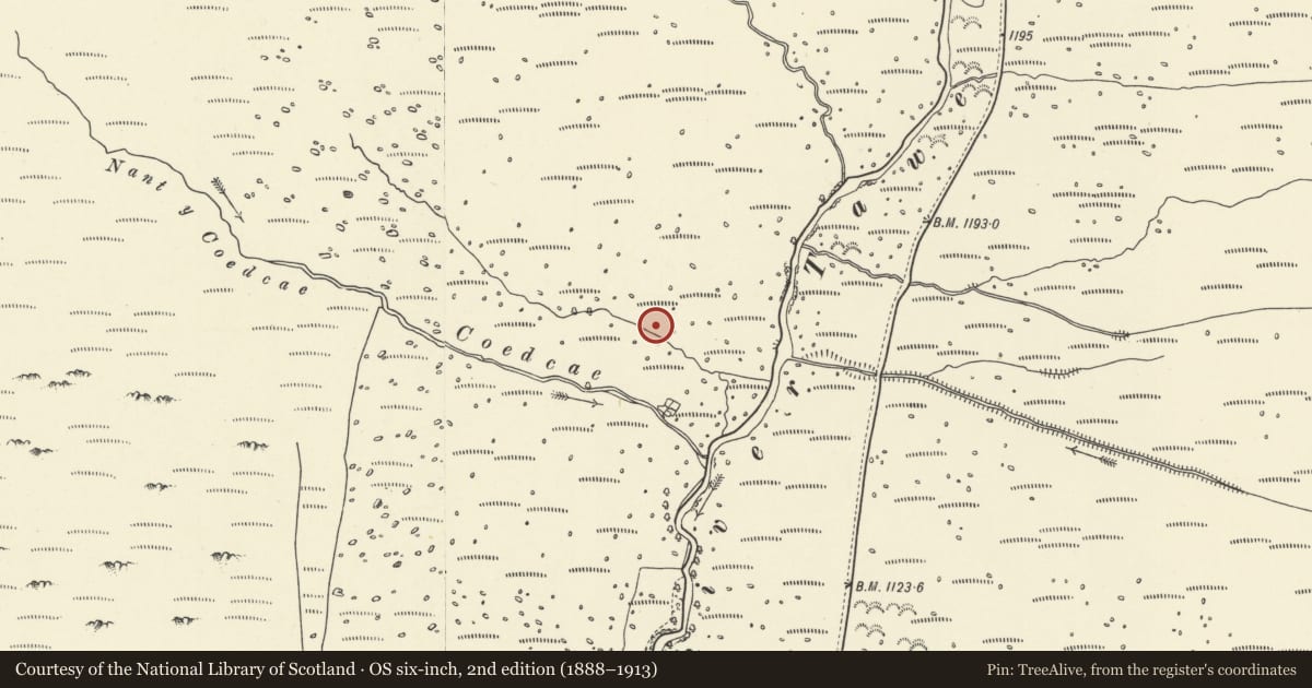 Ordnance Survey six-inch map, 2nd edition (1888–1913) covering the location of Deserted Settlements 800m N of Blaenau Farm, Myddfai, Carmarthenshire, with a pin at the register's coordinates