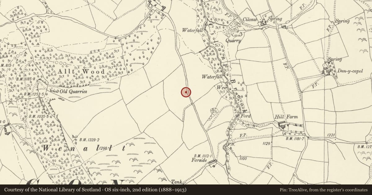 Ordnance Survey six-inch map, 2nd edition (1888–1913) covering the location of The Scottish Pedlar Wayside Cross, Llanigon, Powys, with a pin at the register's coordinates