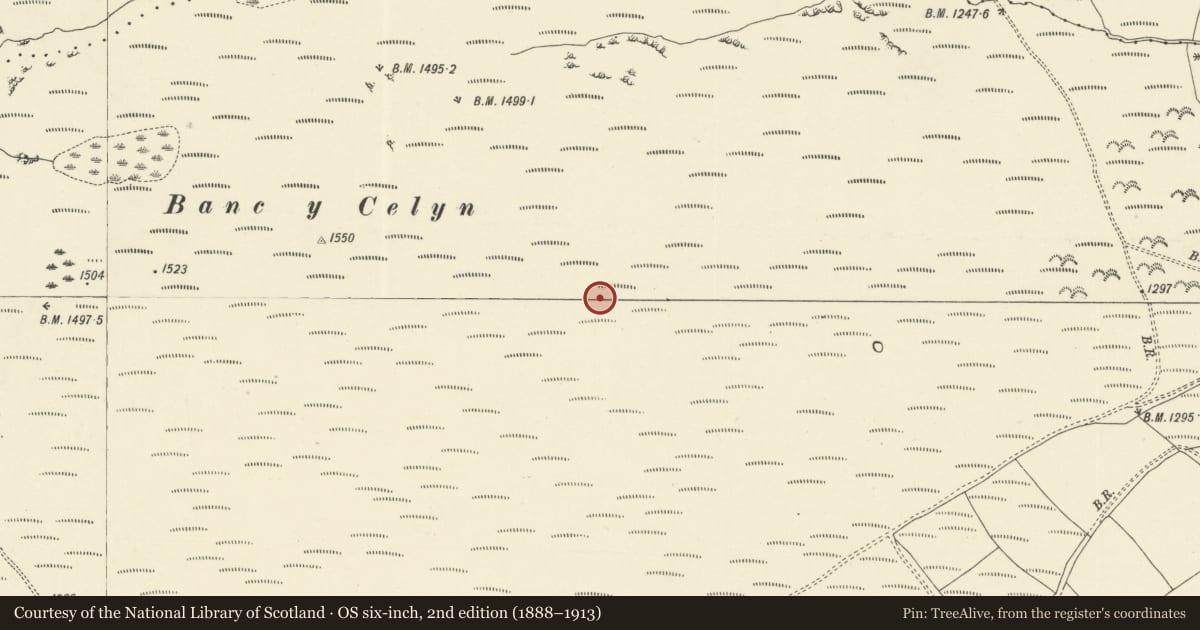 Ordnance Survey six-inch map, 2nd edition (1888–1913) covering the location of Banc y Celyn Stone Circle, Erwood, Powys, with a pin at the register's coordinates