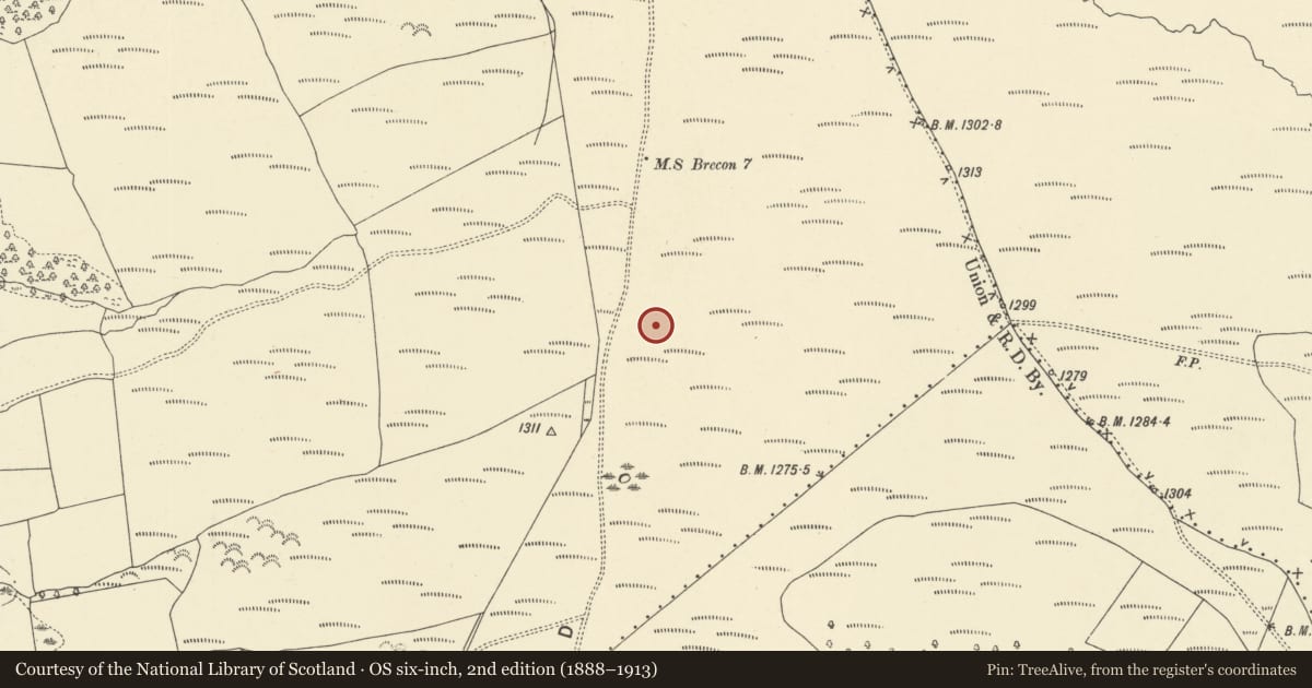 Ordnance Survey six-inch map, 2nd edition (1888–1913) covering the location of Bailey Bach Round Cairn and Cist, Merthyr Cynog, Powys, with a pin at the register's coordinates