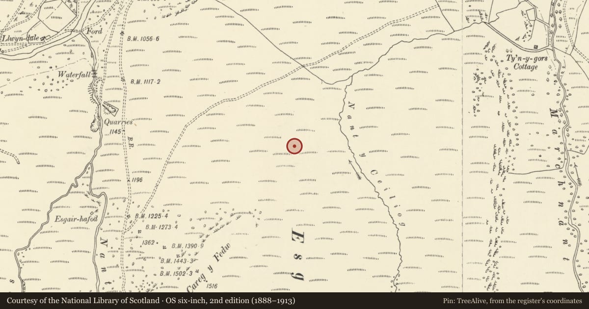 Ordnance Survey six-inch map, 2nd edition (1888–1913) covering the location of Ring Cairn on Esgair Ceiliog, Llanwrthwl, Powys, with a pin at the register's coordinates