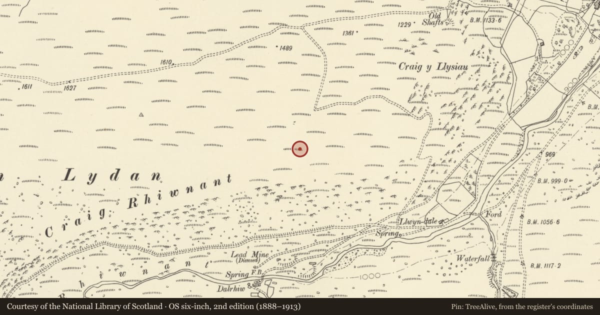 Ordnance Survey six-inch map, 2nd edition (1888–1913) covering the location of Prehistoric Enclosure & Settlement Site on Craig y Llysiau, Llanwrthwl, Powys, with a pin at the register's coordinates