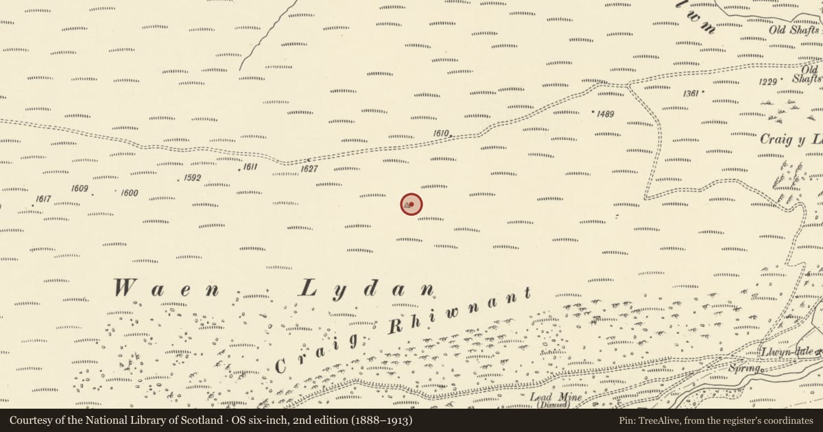 Ordnance Survey six-inch map, 2nd edition (1888–1913) covering the location of Standing Stone above Craig Rhiwnant, Llanwrthwl, Powys, with a pin at the register's coordinates