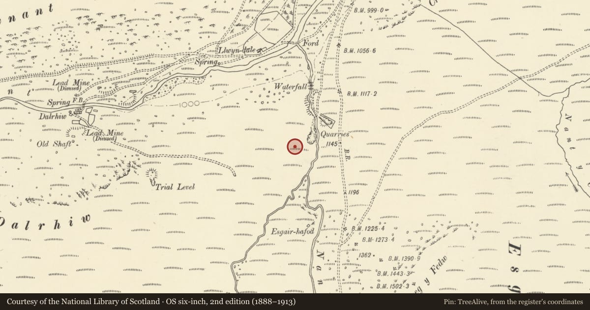 Ordnance Survey six-inch map, 2nd edition (1888–1913) covering the location of Two Ring Cairns near Esgair Hafod, Llanwrthwl, Powys, with a pin at the register's coordinates