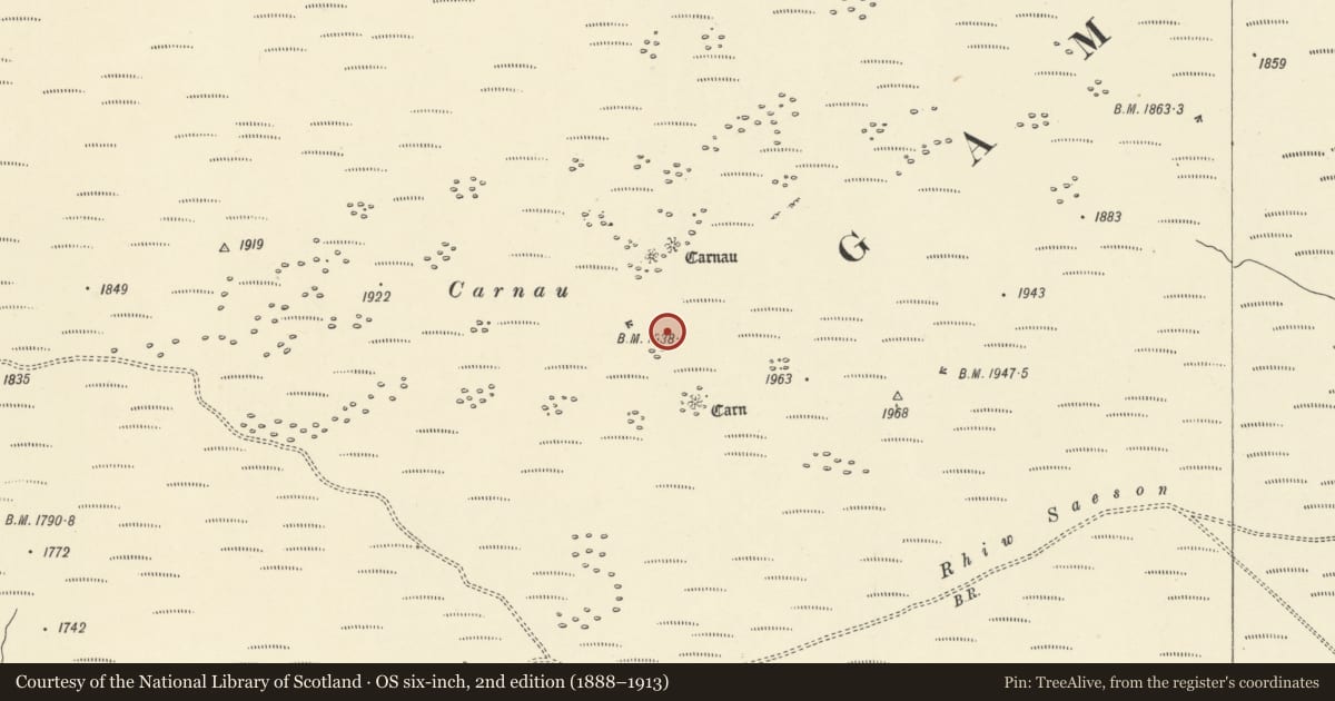 Ordnance Survey six-inch map, 2nd edition (1888–1913) covering the location of Three Round Cairns on y Gamriw, Llanwrthwl, Powys, with a pin at the register's coordinates