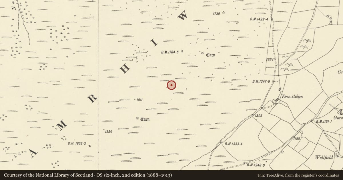 Ordnance Survey six-inch map, 2nd edition (1888–1913) covering the location of Two Round Cairns on y Gamriw, Llanwrthwl, Powys, with a pin at the register's coordinates