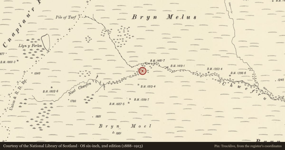 Ordnance Survey six-inch map, 2nd edition (1888–1913) covering the location of Hafotau Settlement on Bryn Melys, Llanafanfawr, Powys, with a pin at the register's coordinates