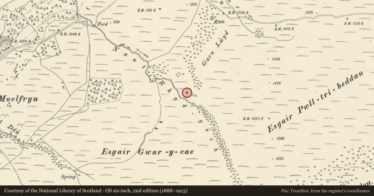 Ordnance Survey six-inch map, 2nd edition (1888–1913) covering the location of Hafotau Settlement on Esgair Gwar-y-Cae, Llanwrthwl, Powys, with a pin at the register's coordinates