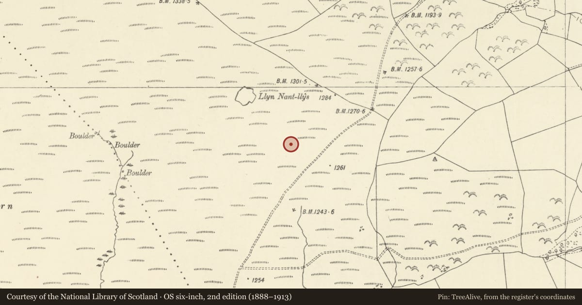 Ordnance Survey six-inch map, 2nd edition (1888–1913) covering the location of Round Barrow SE of Llyn Nant-Llys, Maescar, Powys, with a pin at the register's coordinates