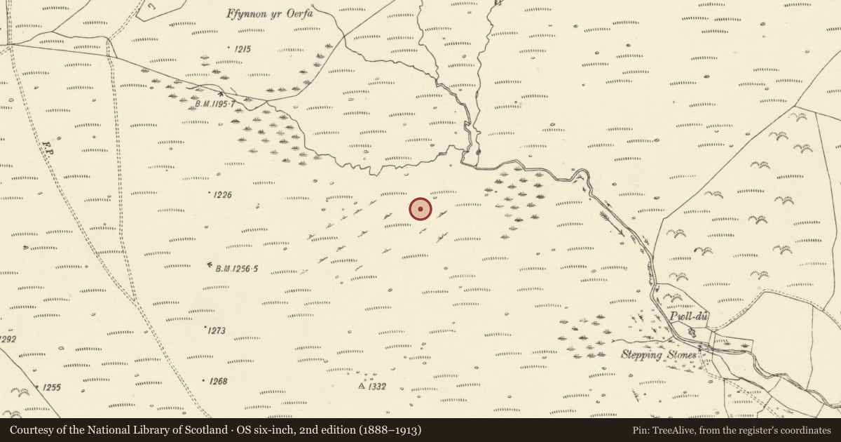 Ordnance Survey six-inch map, 2nd edition (1888–1913) covering the location of Deserted Farmstead South of Ffynnon yr Oerfa, Llywel, Powys, with a pin at the register's coordinates