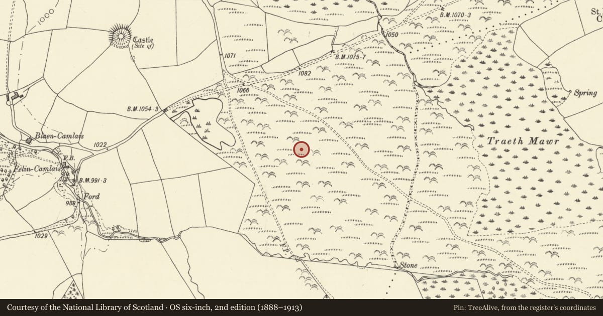Ordnance Survey six-inch map, 2nd edition (1888–1913) covering the location of Roman Road on Mynydd Illtyd, south-western section, Maescar, Powys, with a pin at the register's coordinates
