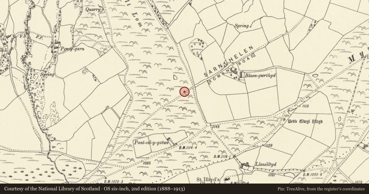 Ordnance Survey six-inch map, 2nd edition (1888–1913) covering the location of Roman Road on Mynydd Illtyd, North-Eastern section, Trallong, Powys, with a pin at the register's coordinates