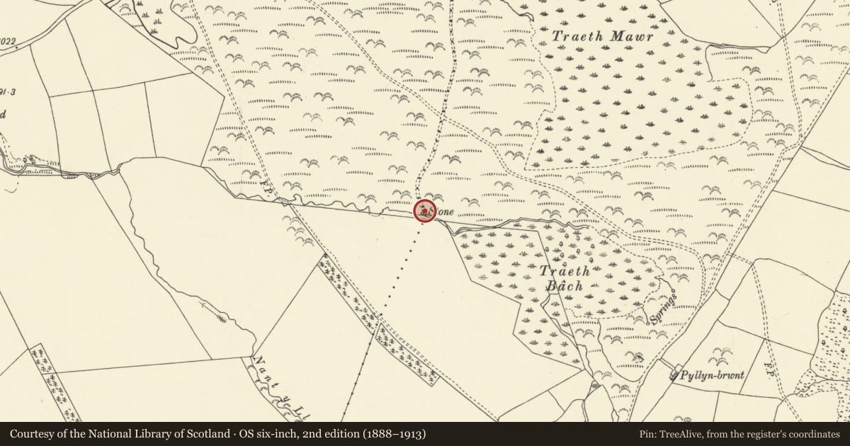 Ordnance Survey six-inch map, 2nd edition (1888–1913) covering the location of Standing Stone near Traeth Bach, Maescar, Powys, with a pin at the register's coordinates