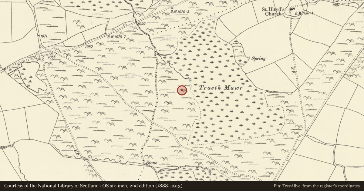 Ordnance Survey six-inch map, 2nd edition (1888–1913) covering the location of Two Cairns on Traeth Mawr, Glyn Tarell, Powys, with a pin at the register's coordinates