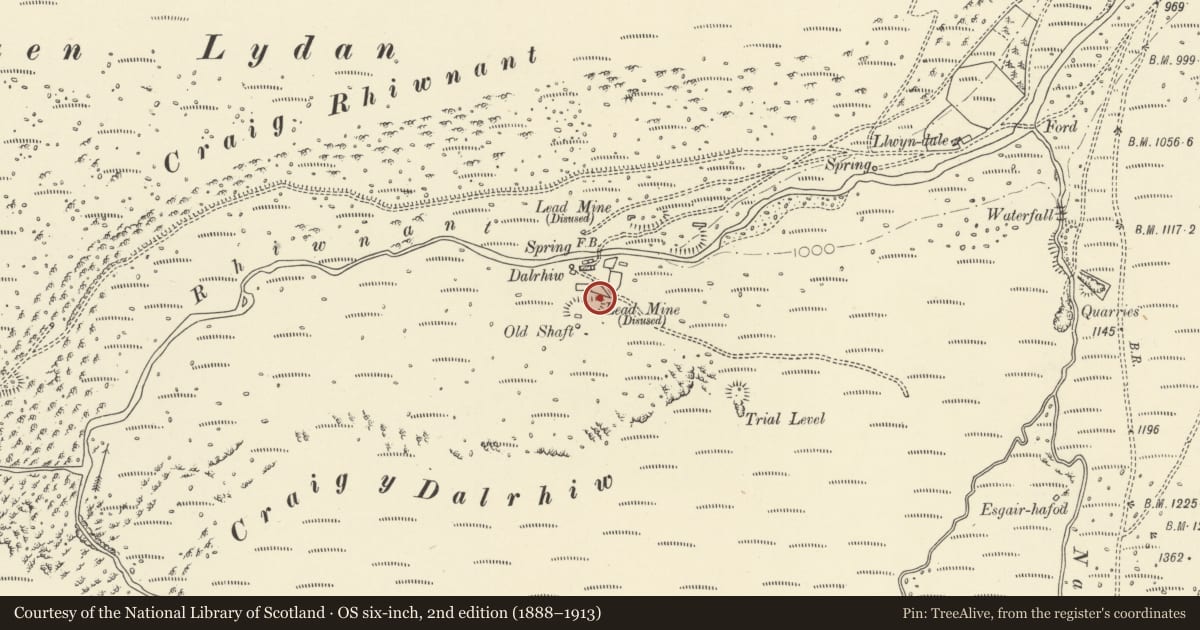 Ordnance Survey six-inch map, 2nd edition (1888–1913) covering the location of Dalrhiw Lead Mine, Llanwrthwl, Powys, with a pin at the register's coordinates