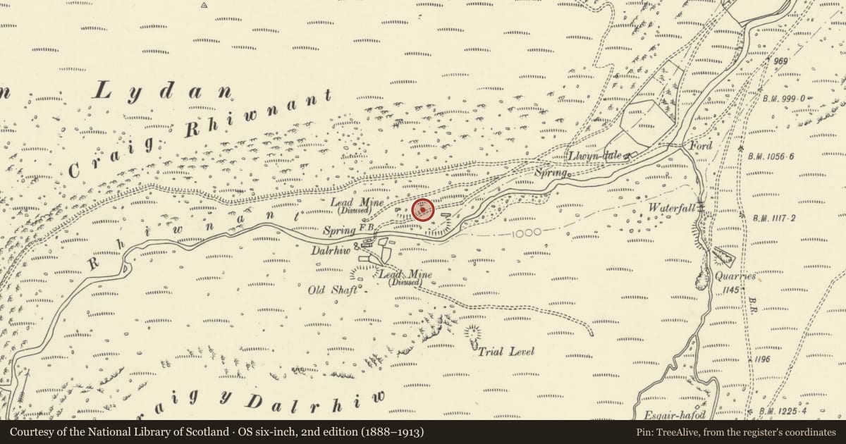 Ordnance Survey six-inch map, 2nd edition (1888–1913) covering the location of Nant-y-Car South Lead Mine, Llanwrthwl, Powys, with a pin at the register's coordinates