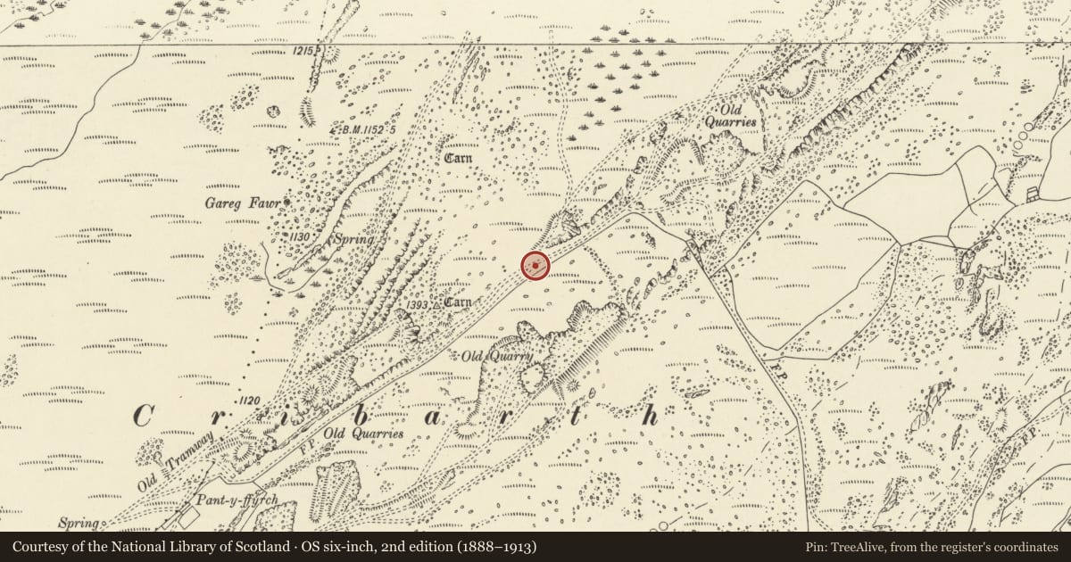 Ordnance Survey six-inch map, 2nd edition (1888–1913) covering the location of Cribarth Limestone Quarries and Tramroads, Tawe-Uchaf, Powys, with a pin at the register's coordinates