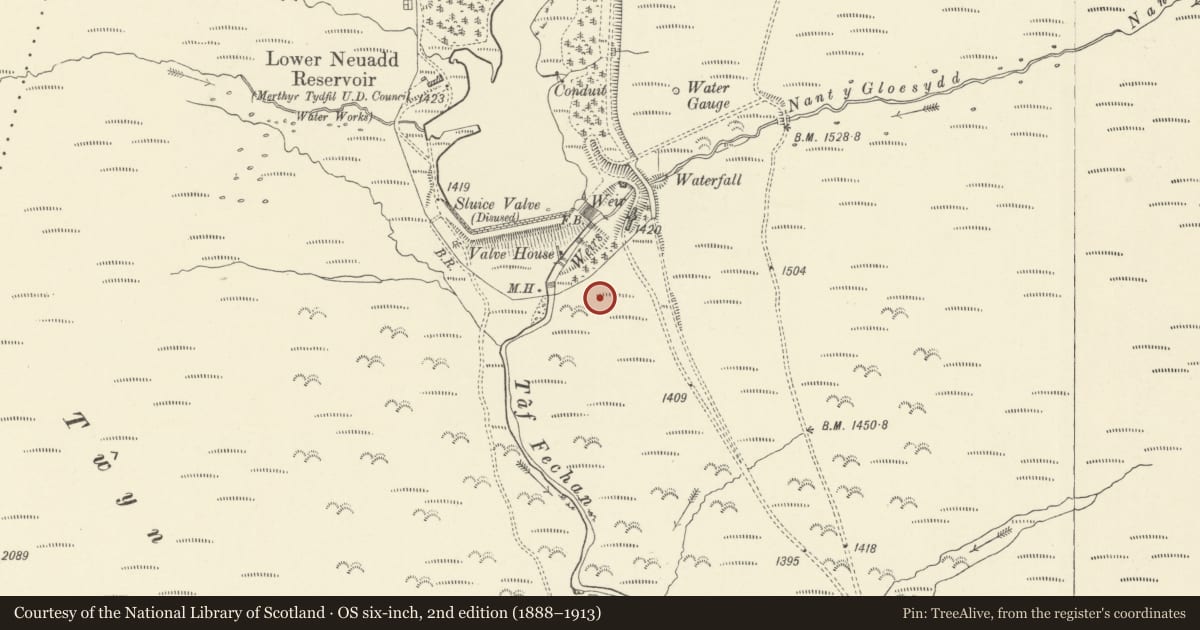 Ordnance Survey six-inch map, 2nd edition (1888–1913) covering the location of Lower Neuadd Standing Stone, Llanfrynach, Powys, with a pin at the register's coordinates