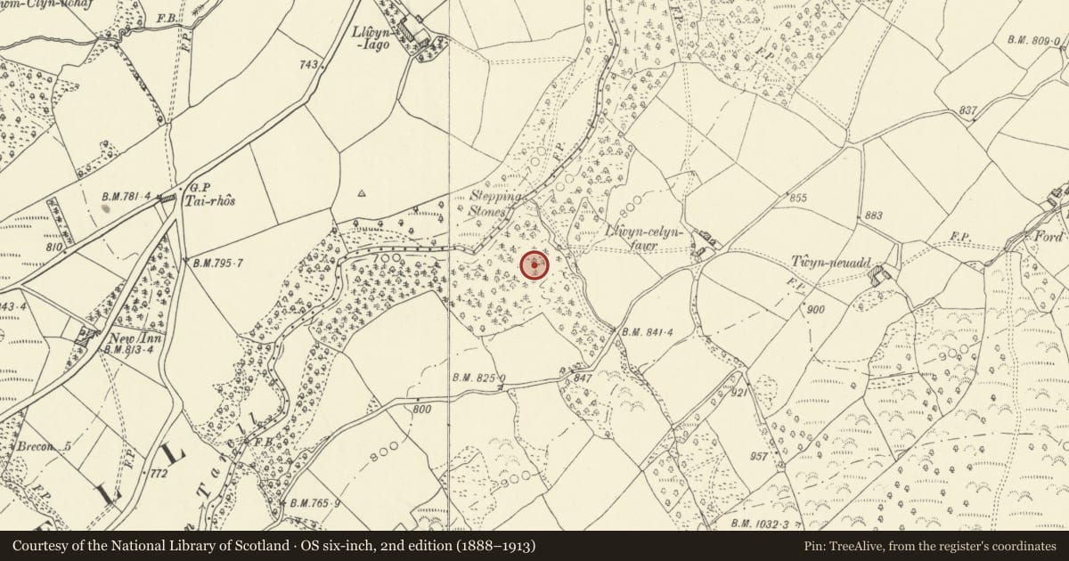 Ordnance Survey six-inch map, 2nd edition (1888–1913) covering the location of Waunfaeog Hillfort, Glyn Tarell, Powys, with a pin at the register's coordinates