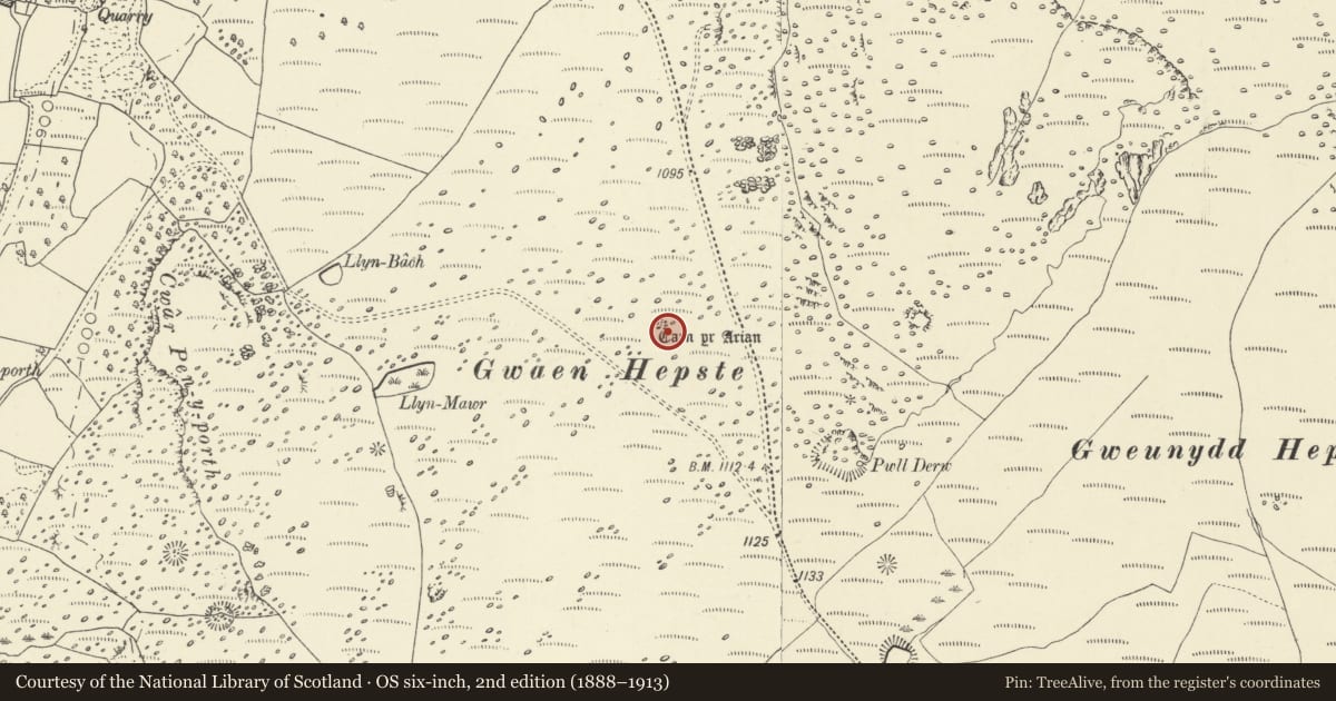 Ordnance Survey six-inch map, 2nd edition (1888–1913) covering the location of Carn yr Arian Cairn, Ystradfellte, Powys, with a pin at the register's coordinates