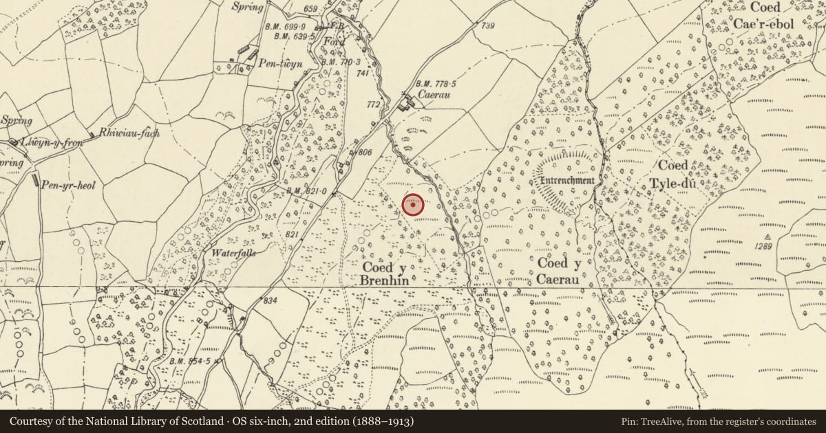 Ordnance Survey six-inch map, 2nd edition (1888–1913) covering the location of Coed y Brenin Enclosure, Llanfrynach, Powys, with a pin at the register's coordinates