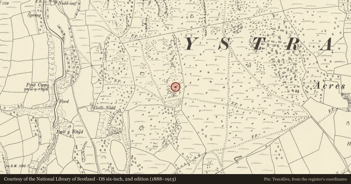 Ordnance Survey six-inch map, 2nd edition (1888–1913) covering the location of Gelli-nedd Hillfort, Ystradfellte, Powys, with a pin at the register's coordinates