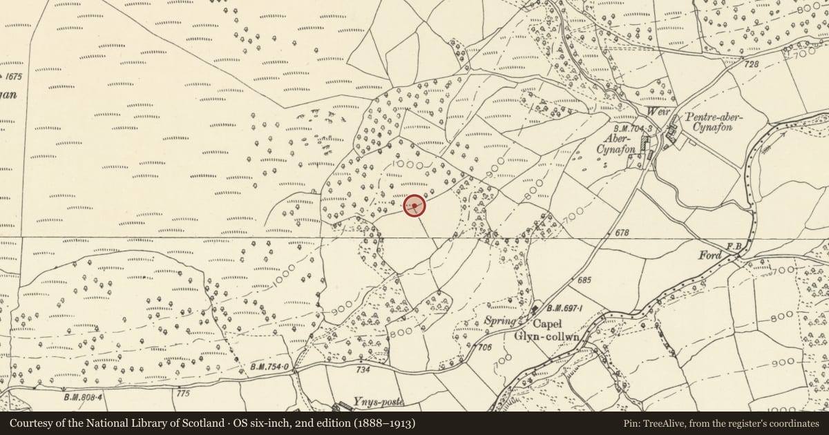Ordnance Survey six-inch map, 2nd edition (1888–1913) covering the location of Abercynafon Neolithic Site, Talybont-on-Usk, Powys, with a pin at the register's coordinates