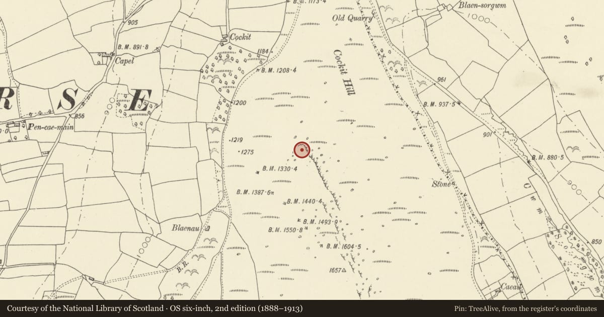 Ordnance Survey six-inch map, 2nd edition (1888–1913) covering the location of Enclosure on Cockit Hill, Talgarth, Powys, with a pin at the register's coordinates