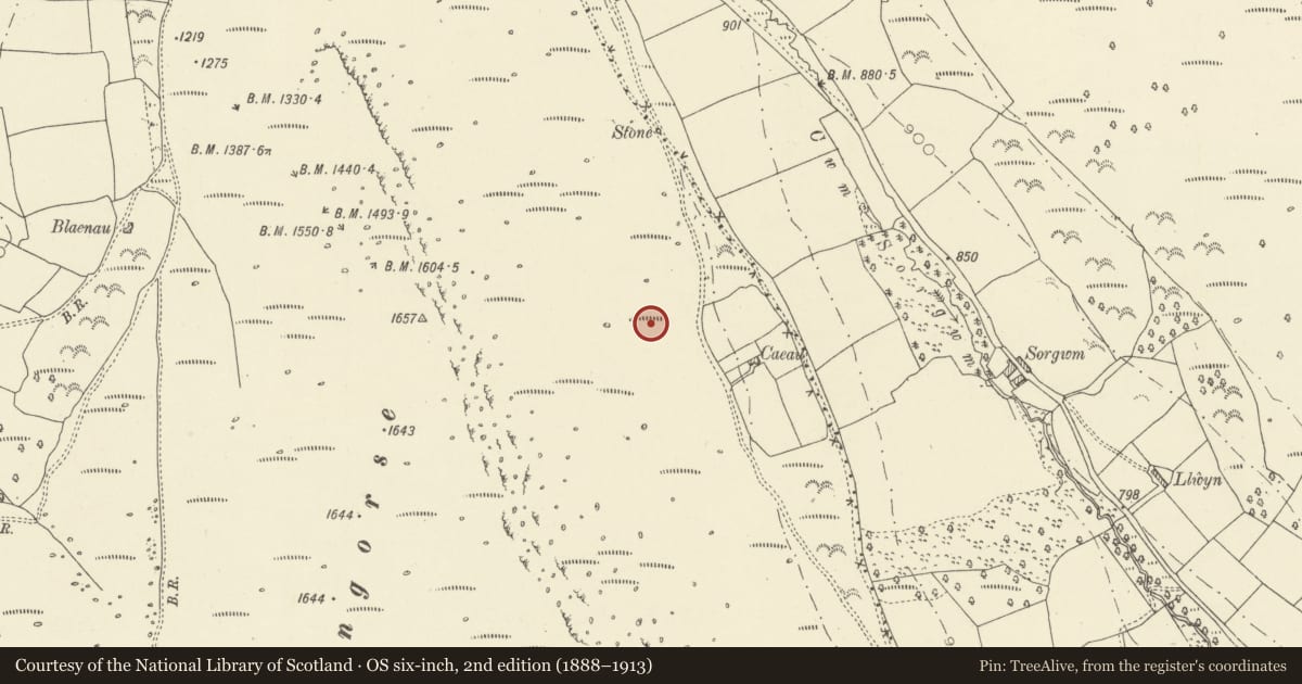 Ordnance Survey six-inch map, 2nd edition (1888–1913) covering the location of Enclosure West of Sorgwm, Talgarth, Powys, with a pin at the register's coordinates
