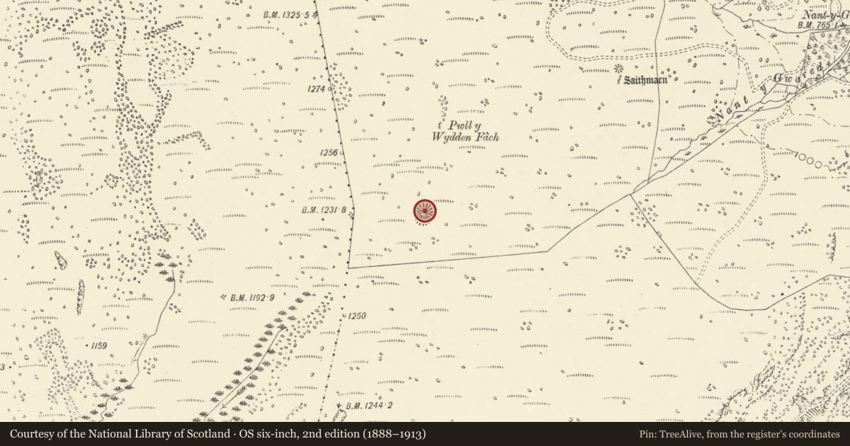 Ordnance Survey six-inch map, 2nd edition (1888–1913) covering the location of Hut Circle West of Saith Maen, Tawe-Uchaf, Powys, with a pin at the register's coordinates