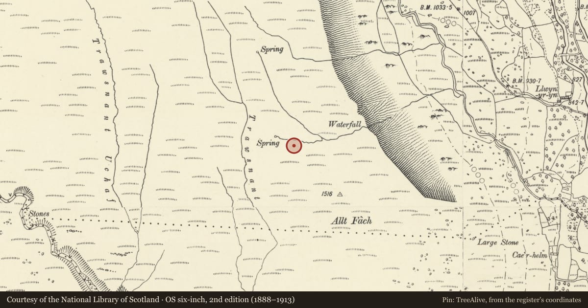 Ordnance Survey six-inch map, 2nd edition (1888–1913) covering the location of Burnt Mound South of Fan Hir, Llywel, Powys, with a pin at the register's coordinates