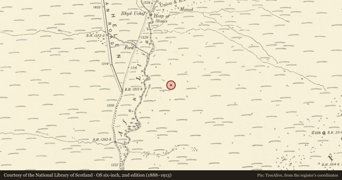 Ordnance Survey six-inch map, 2nd edition (1888–1913) covering the location of Enclosures East of Afon Llia, Ystradfellte, Powys, with a pin at the register's coordinates