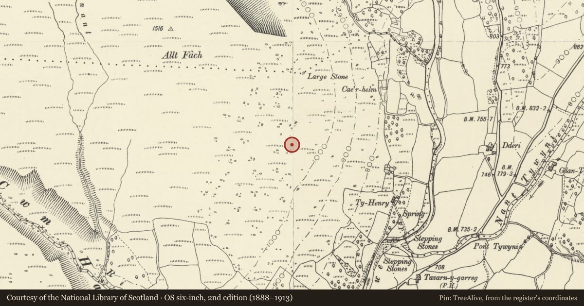 Ordnance Survey six-inch map, 2nd edition (1888–1913) covering the location of Allt Fach Deserted Rural Settlement, Llywel, Powys, with a pin at the register's coordinates