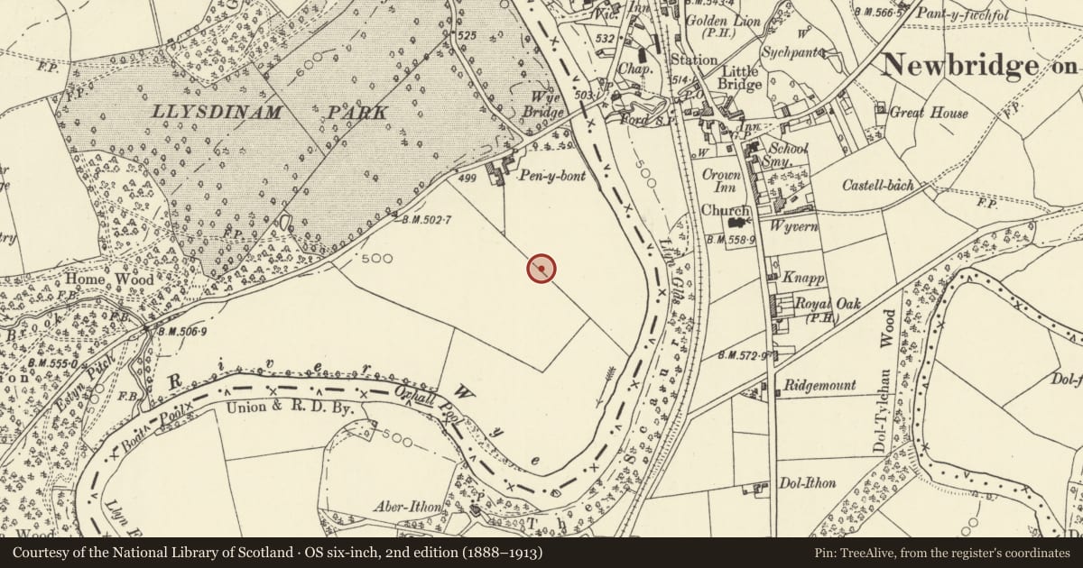 Ordnance Survey six-inch map, 2nd edition (1888–1913) covering the location of Pen-y-bont Standing Stone, Llanafanfawr, Powys, with a pin at the register's coordinates