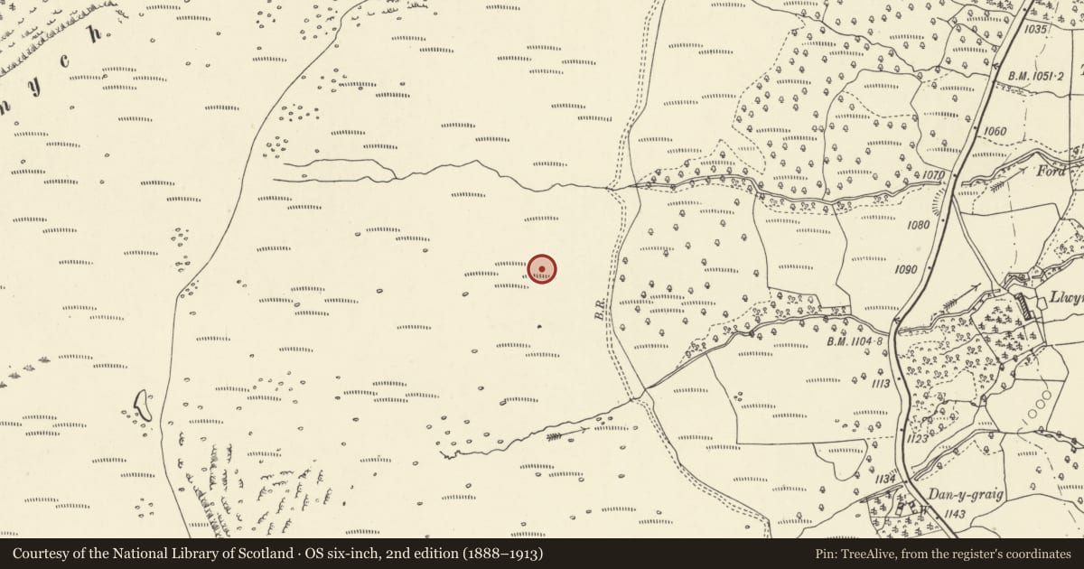 Ordnance Survey six-inch map, 2nd edition (1888–1913) covering the location of Craig Cerrig-Gleisiad Deserted Rural Settlement, Glyn Tarell, Powys, with a pin at the register's coordinates