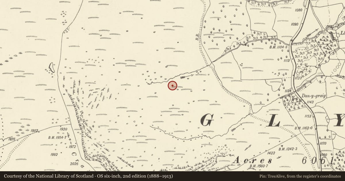 Ordnance Survey six-inch map, 2nd edition (1888–1913) covering the location of Craig Cerrig-Gleisiad Prehistoric Settlement, Glyn Tarell, Powys, with a pin at the register's coordinates