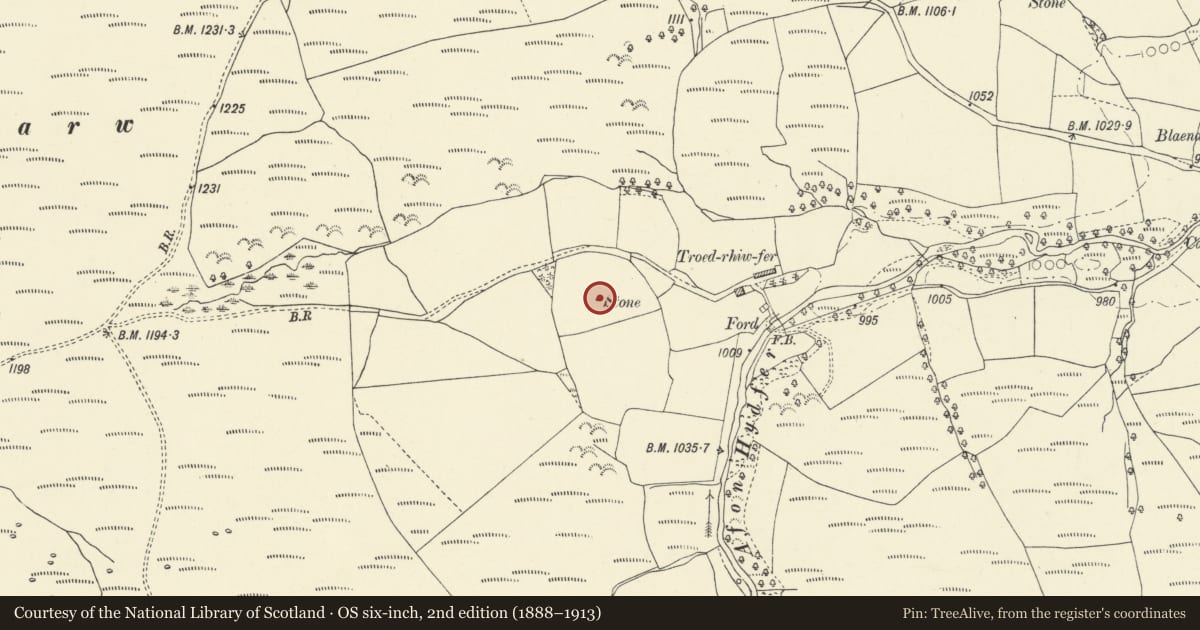 Ordnance Survey six-inch map, 2nd edition (1888–1913) covering the location of Troed Rhiw Wen Prehistoric Standing Stone, Llywel, Powys, with a pin at the register's coordinates