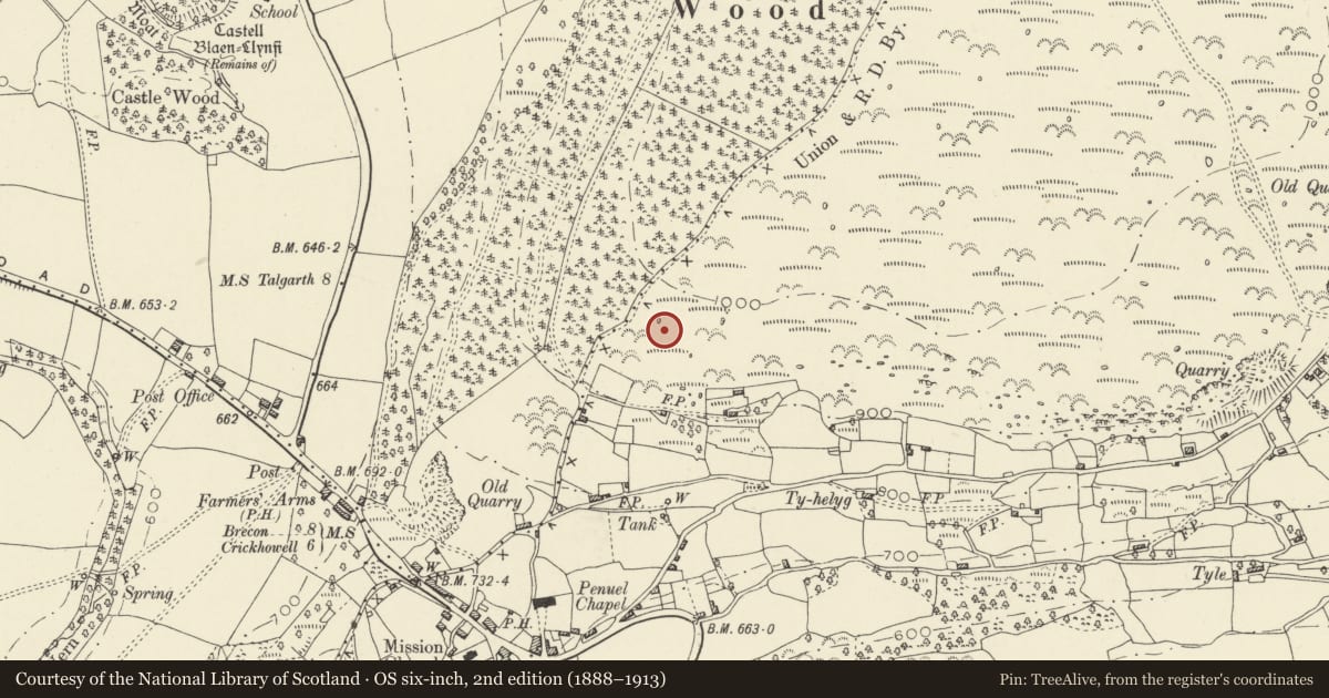 Ordnance Survey six-inch map, 2nd edition (1888–1913) covering the location of Bwlch Enclosure, Llanfihangel Cwmdu with Bwlch and Cathedine, Powys, with a pin at the register's coordinates